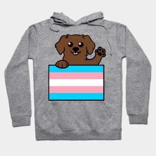 Love is Love Puppy - Brown Lab Trans Hoodie